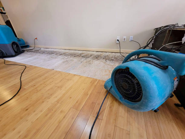 Professional Ceiling Water Damage Repair technician working in Rehrersburg, PA